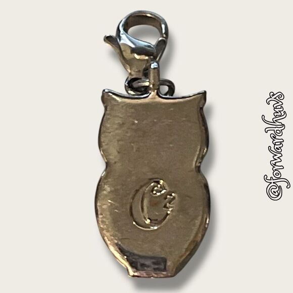 Bundle Sale 3 for $15 | Silver-Tone Owl Charm with Light Blue Rhinestone Eyes - Picture 5 of 9
